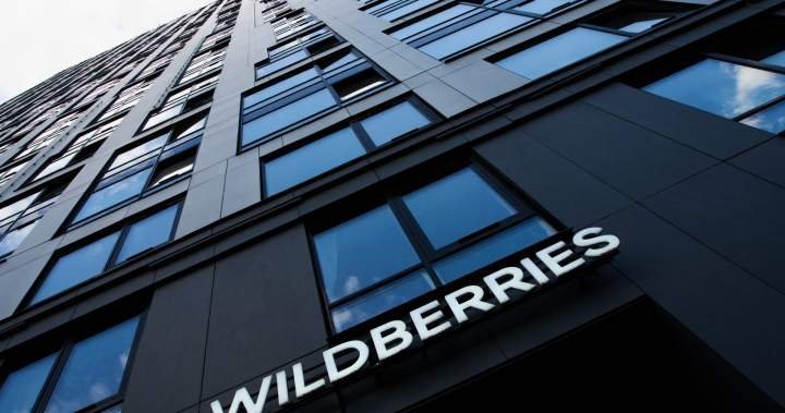 You are currently viewing Why Ukraine struck Wildberries, Russia’s largest online marketplace