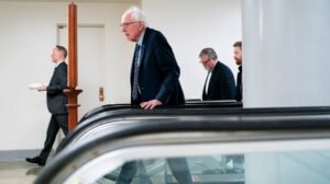 Read more about the article Sanders dismisses Rahm Emanuel’s warning that ‘Bernie Bros’ could ‘spoil’ Democrats in the midterms