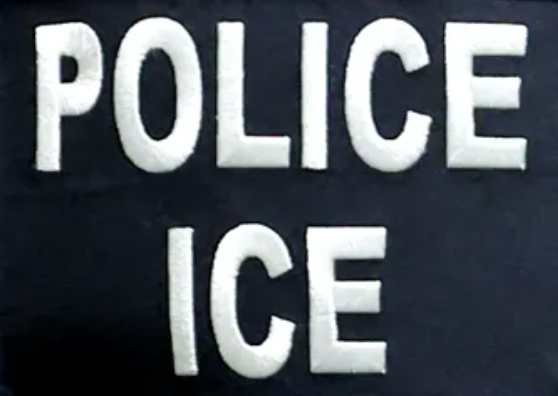 Read more about the article Video of Woman Boxed In by Unmarked Cars Calls Into Question Homan’s Demand to ‘Comply’ With ICE or Die