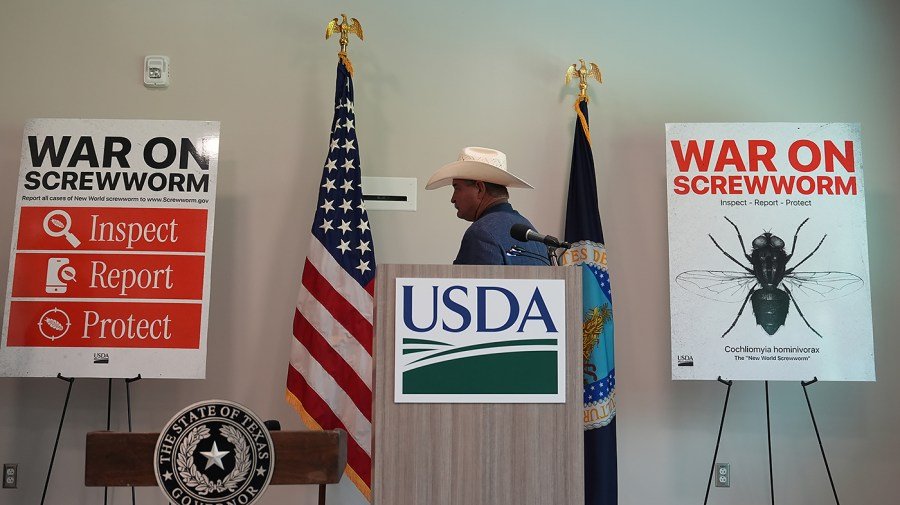 You are currently viewing US to reopen border to Mexican cattle imports after screwworm shutdown