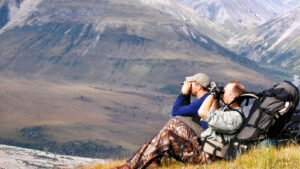 Read more about the article U.S. And Canada Convict American National Park Visitors For Illegally Killing Beloved Animal On Canadian Side Of The Border