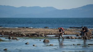 Read more about the article Parks Canada Warns West Coast Hikers To Delay Or Cancel Trips At Beloved National Park As Evacuation Requests Rise