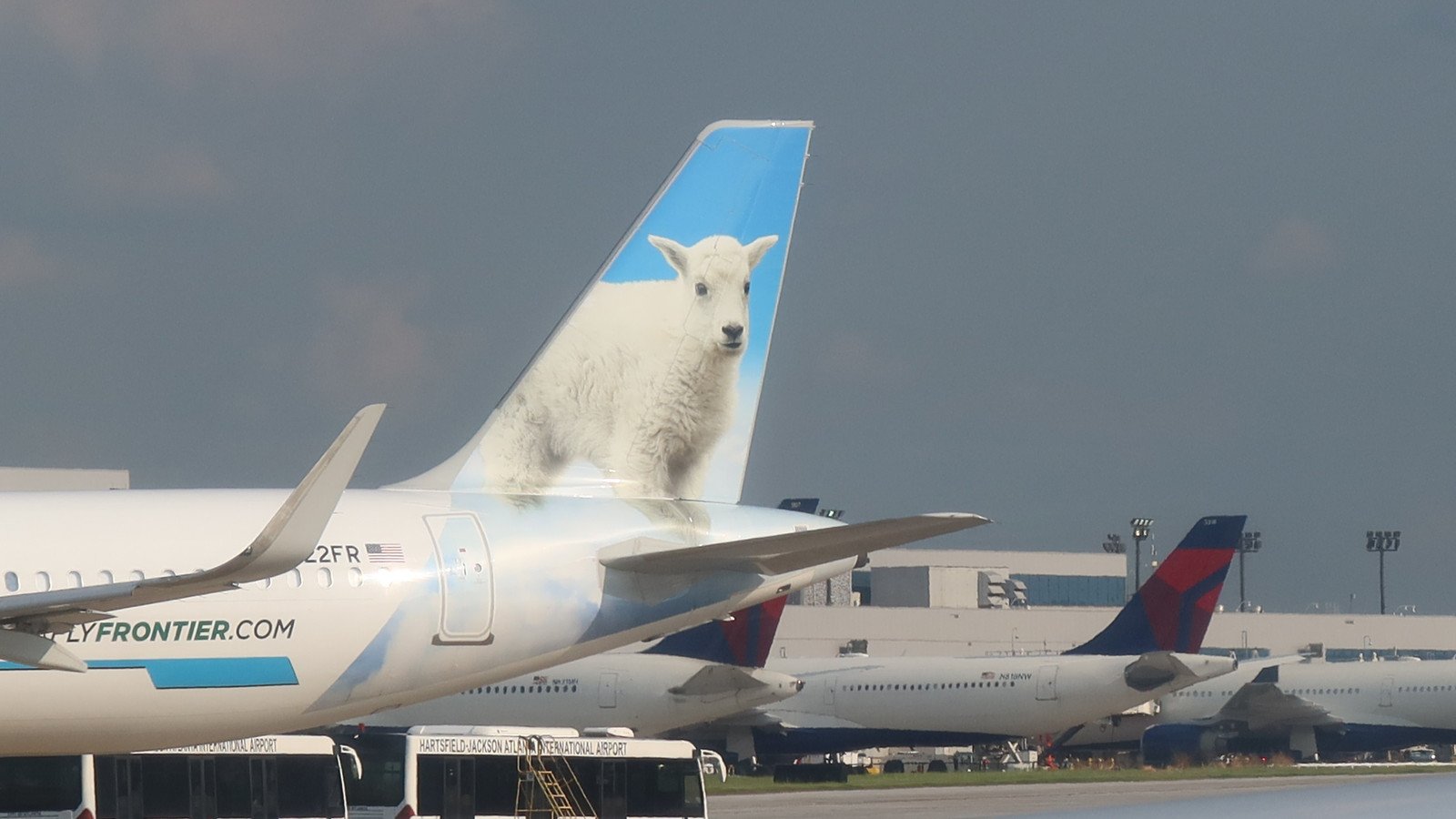 You are currently viewing Delta Air Lines And Frontier Aircraft Collide On Runway At North Carolina Airport