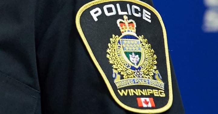 You are currently viewing ‘Thirsty, distressed dog’ left in hot car at Winnipeg grocery store: WPS