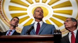 Read more about the article Senate GOP close to cutting deal to avoid shutdown