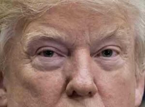 Read more about the article Trump ‘Raising Prices on Americans Again’ With 50% Tariff on Canadian Imports