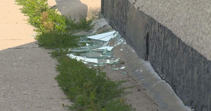 You are currently viewing Winnipeg mosque was likely shot at with pellet-style gun, police say