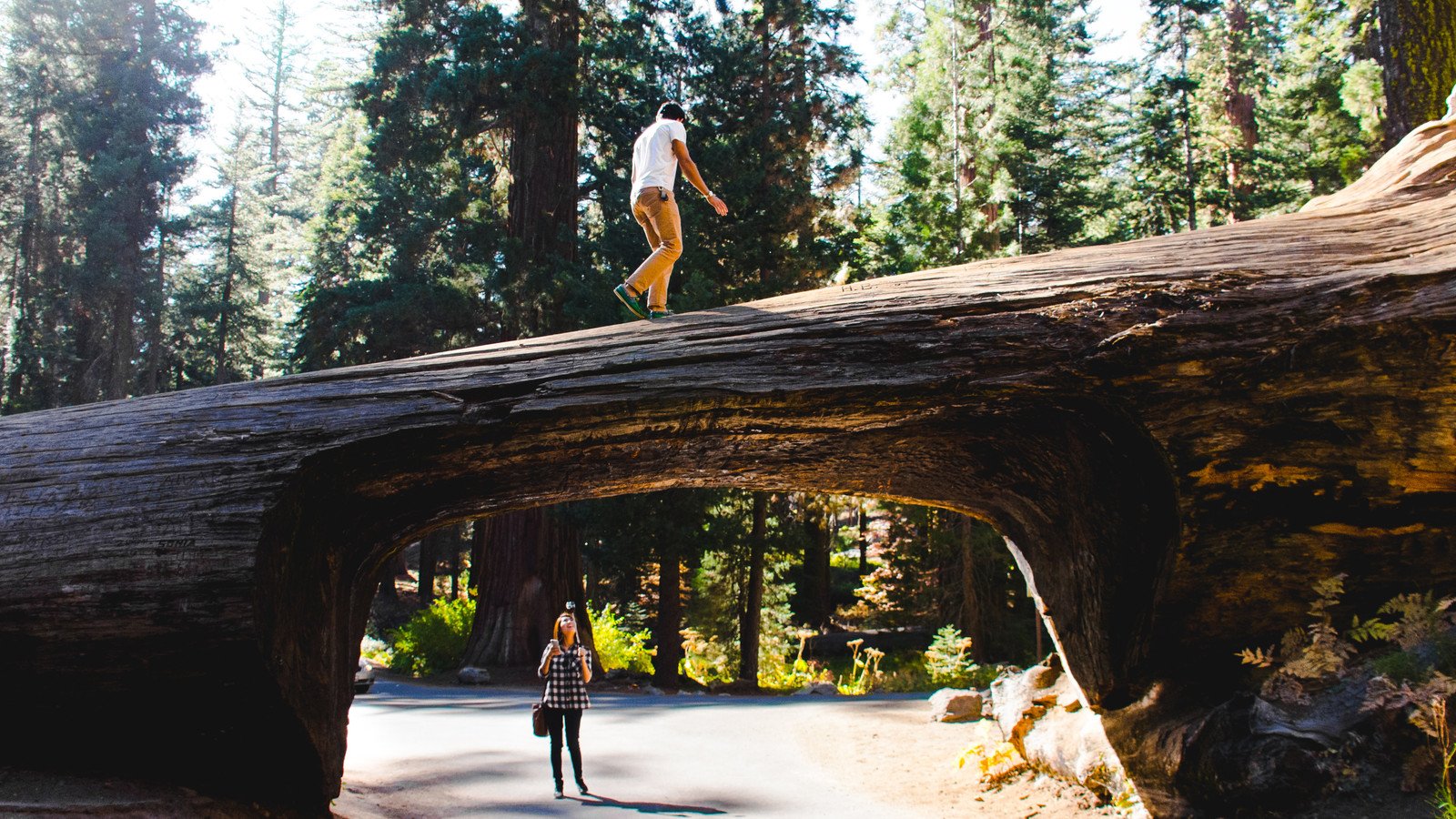 You are currently viewing National Park Service Dress Code Warnings Become More Pertinent As Tourist Dies Near The World’s Oldest Living Tree