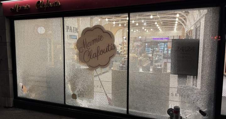 Read more about the article Montreal self-serve bakery vandalized again as anti-tech message left