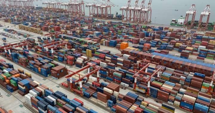You are currently viewing U.S. states sue to stop Trump’s forced labour tariff on dozens of countries