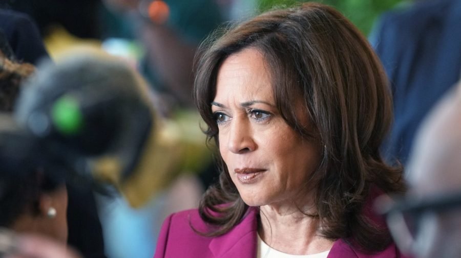 You are currently viewing Harris: ‘We need to revisit the Electoral College’