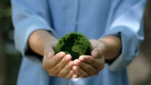 Read more about the article The democratic approach to confronting climate change 