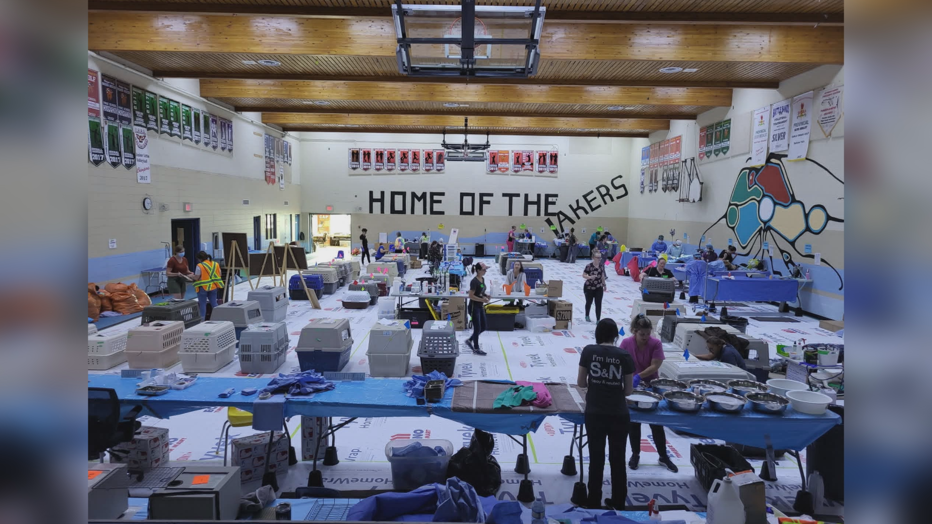 You are currently viewing Saskatchewan First Nation worried about community safety after vet clinic cancelled