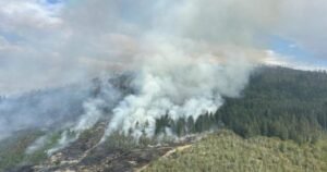 Read more about the article B.C. wildfires continue to flare up, with almost 30 added in past 24 hours
