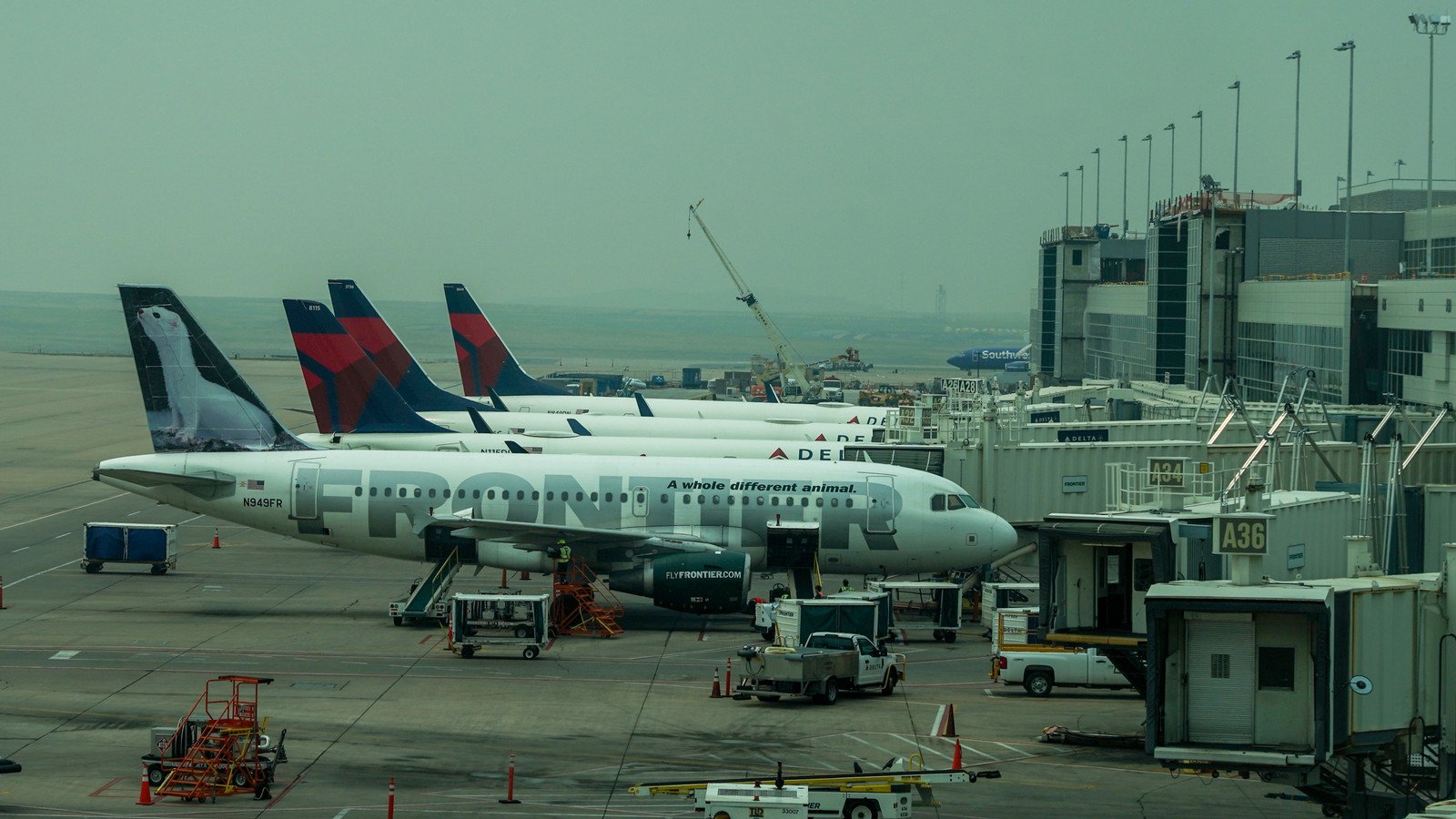 You are currently viewing Denver International Airport Diverts 29 Flights In A Single Day Over Severe Weather Conditions: FAA Ground Stop