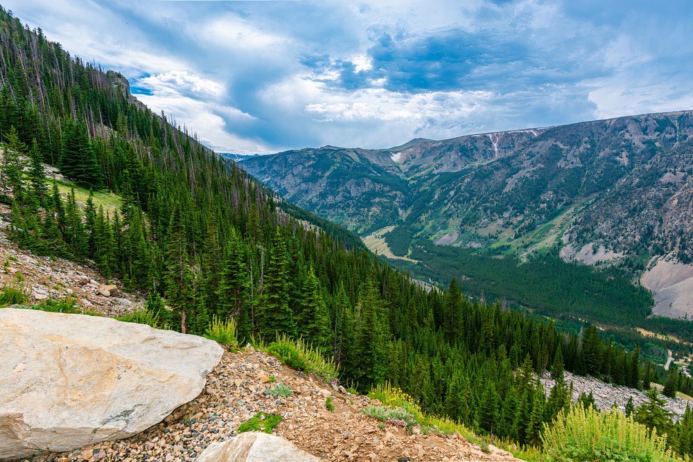 You are currently viewing Impaled U.S. Hiker Does The Opposite Of Yosemite National Park Tourist To Avoid $100,000 Bill