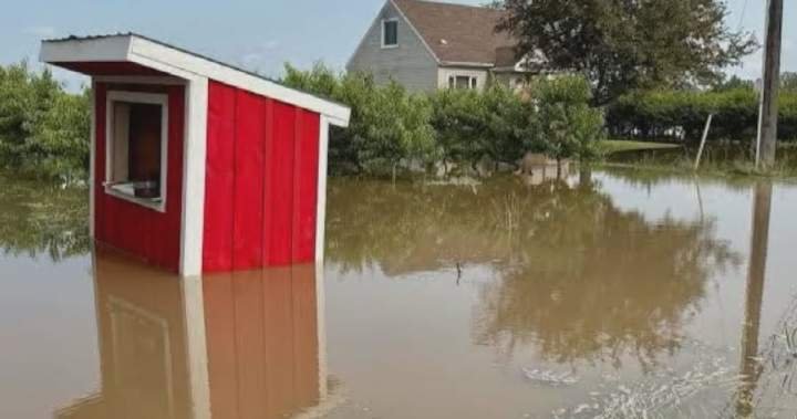Read more about the article Ontario city declares state of emergency after ‘hurricane’s worth of rain’